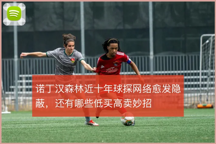 诺丁汉森林近十年球探网络愈发隐蔽，还有哪些低买高卖妙招
