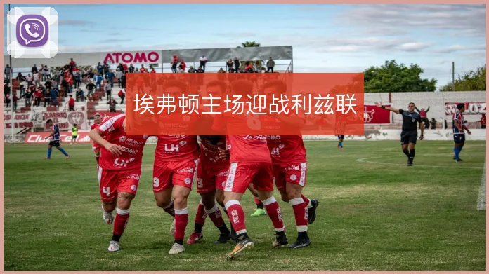 埃弗顿主场迎战利兹联