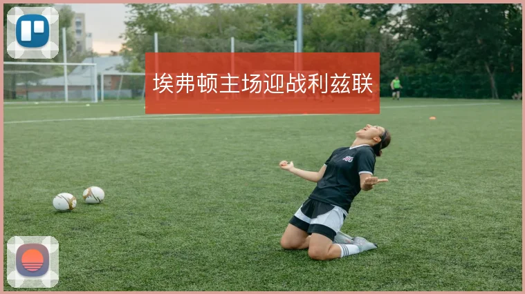 埃弗顿主场迎战利兹联