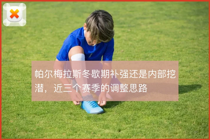 帕尔梅拉斯冬歇期补强还是内部挖潜，近三个赛季的调整思路